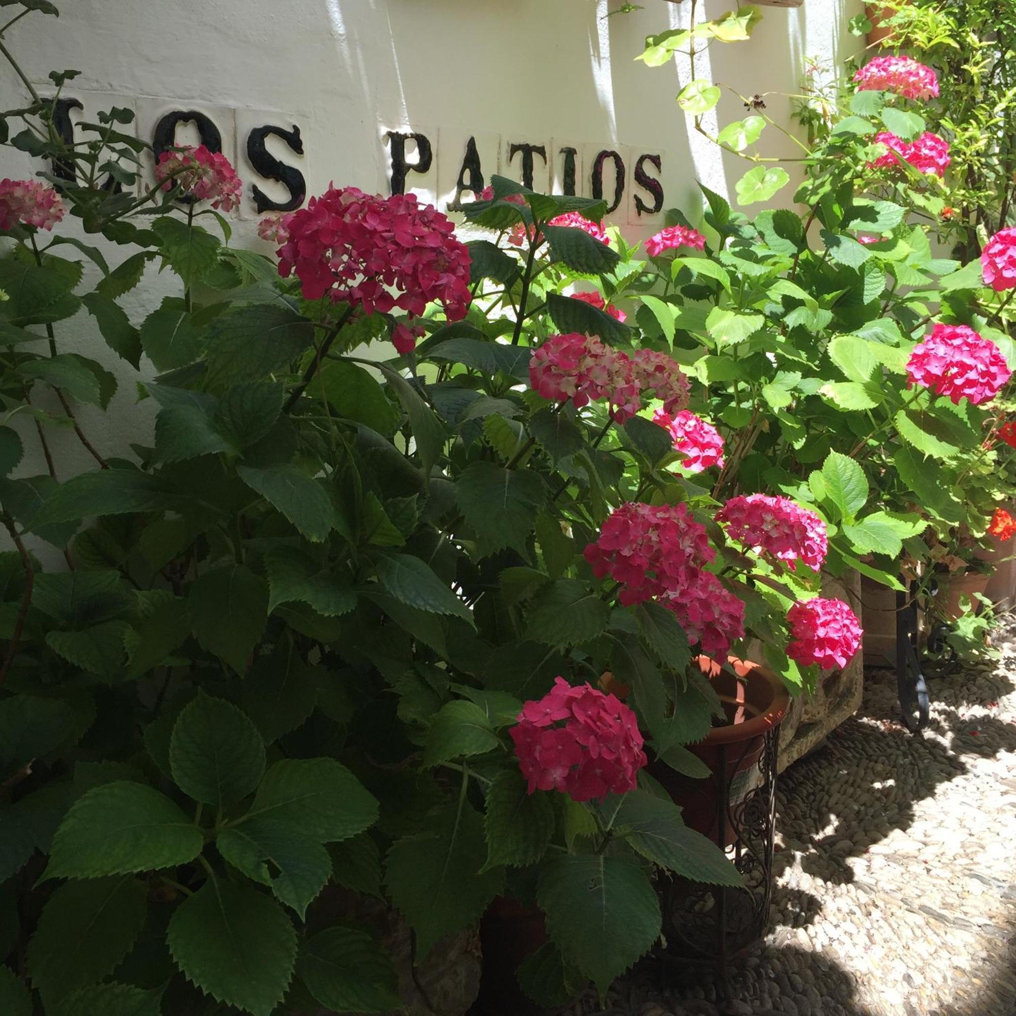 Los Patios Córdoba Exterior foto